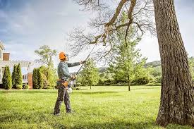 Best Leaf Removal  in Bicknell, IN